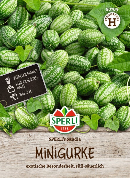 Samen für Minigurke Sandia von Sperli geeignet für Kübel und Gewächshäuser Wuchshöhe bis 2 Meter