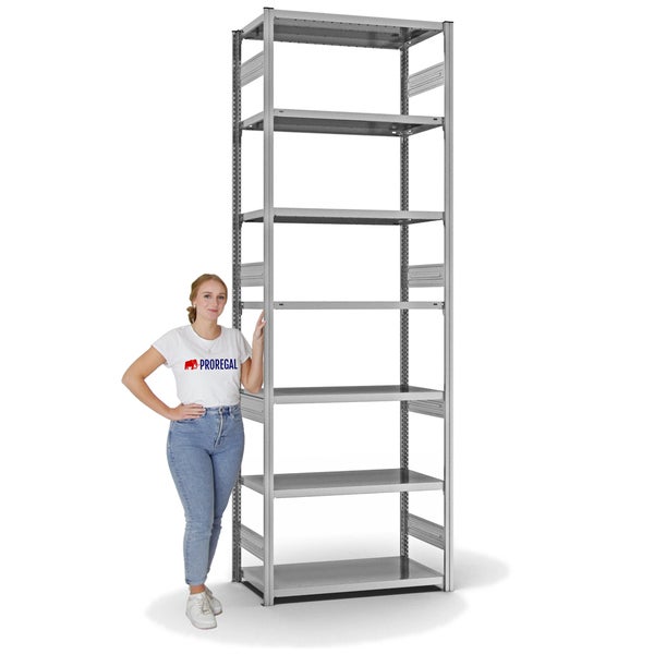 PROREGAL Fachbodenregal Stecksystem T-Profil Heavy-Duty Grundregal HxBxT 300 x 100 x 50 cm 7 Ebenen Fachlast 330 kg Beidseitig Nutzbar Verzinkt