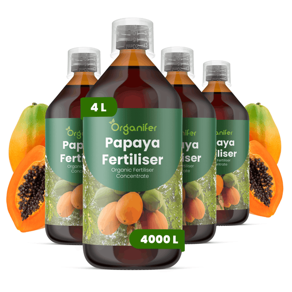 Vier Flaschen Organifer Papaya-Dünger Konzentrat, 4 Liter für 4000 Liter organischer Flüssigdünger.