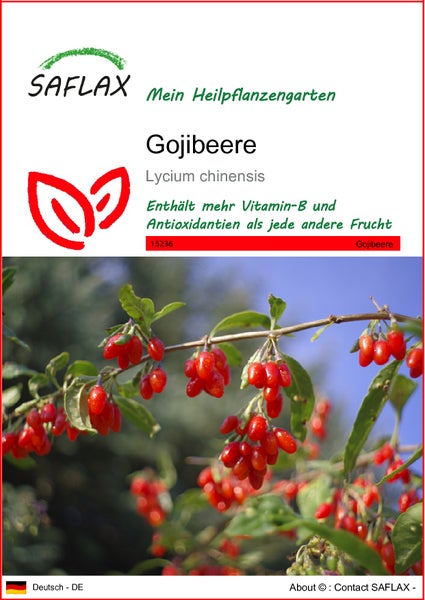 SAFLAX  - Gojibeere - Lycium chinensis - 200 Samen