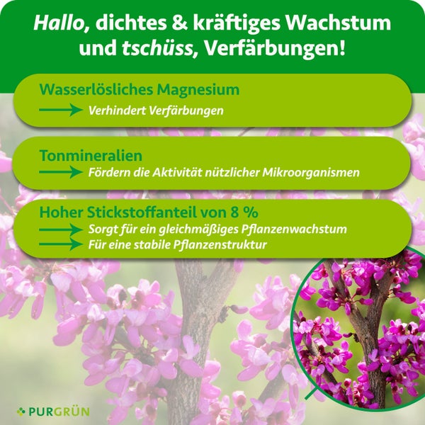 Infografik zu Purgrün Dünger: Magnesium gegen Verfärbungen, Tonmineralien für Mikroorganismen und 8 Prozent Stickstoff für Wachstum und Struktur.