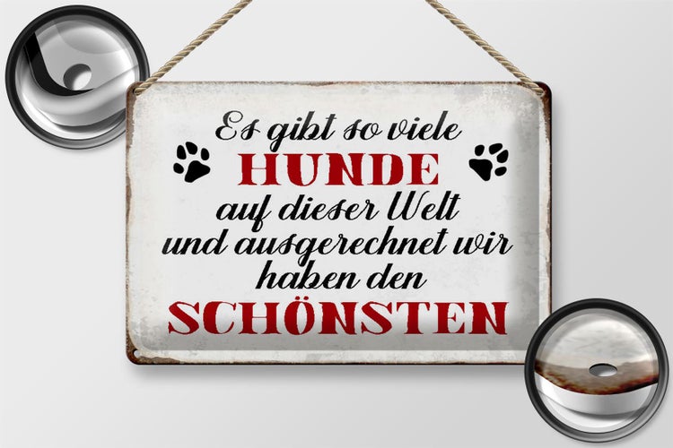 Blechschild Spruch 30x20cm es gibt so viele Hunde Schild