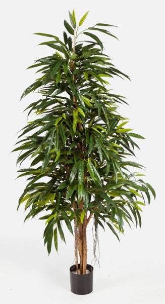 Künstliche Zimmerpflanze Ficus Longifolia im schwarzen Topf mit schmalen grünen Blättern.