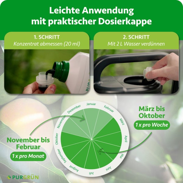 Anwendung von Dünger: 20 Milliliter mit der Dosierkappe abmessen, mit 2 Liter Wasser verdünnen. Saisonaler Dosierkalender. Purgrün Logo.