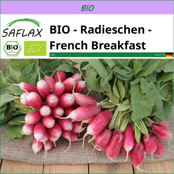 SAFLAX  - BIO - Radieschen - French Breakfast - Raphanus sativus - 150 Samen