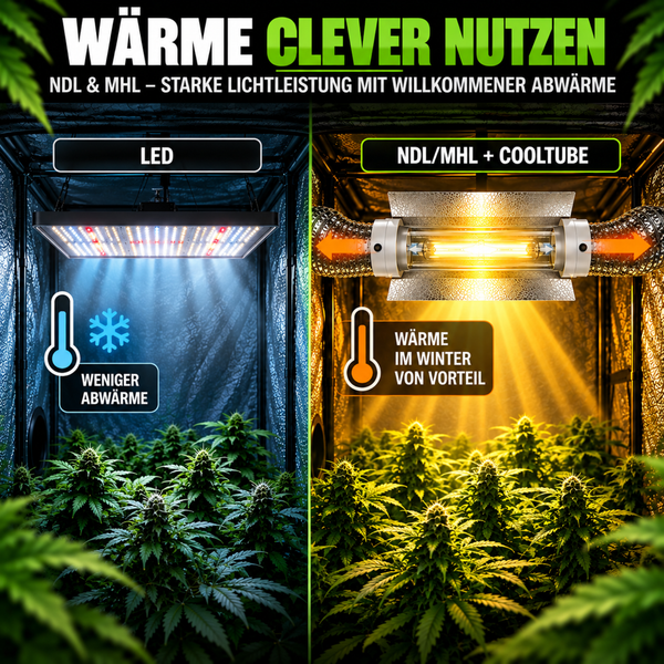 Vergleichsgrafik zwischen LED Beleuchtung und NDL oder MHL Lampen mit Cooltube für die Pflanzenaufzucht in einem Growbox System.