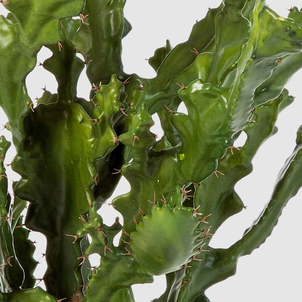 Pflanztopf aus Terrakotta mit rustikaler Oberfläche und einer Pflanze.