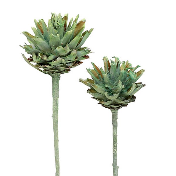 Zwei künstliche Disteln zur Dekoration