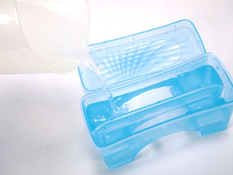 Bewässerung einer blauen Pflanzschale mit Siebeinsatz