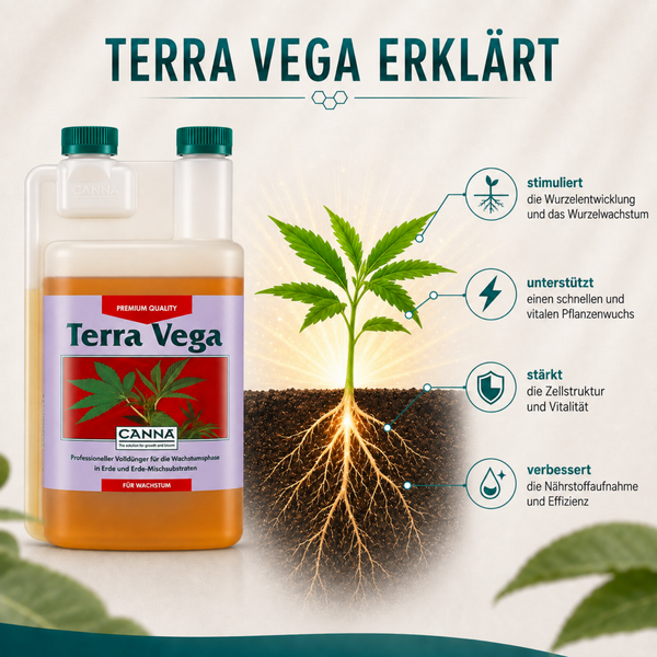 Canna Terra Vega Pflanzendünger für die Wachstumsphase mit Erklärgrafik zur Wirkungsweise auf Wurzelwachstum, Pflanzenwuchs und Nährstoffaufnahme.
