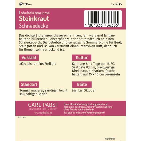 Steinkraut Schneedecke Samen von Pabst Keimkraft