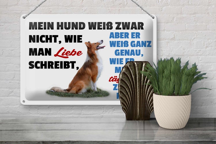 Blechschild Spruch 30x20cm mein Hund weiß zwar Hundeliebe