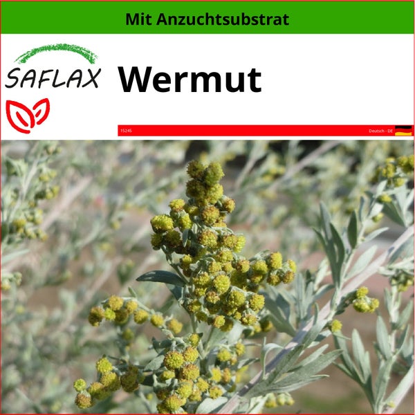 SAFLAX  - Wermut - Artemisia absinthum - 500 Samen - Mit keimfreiem Anzuchtsubstrat