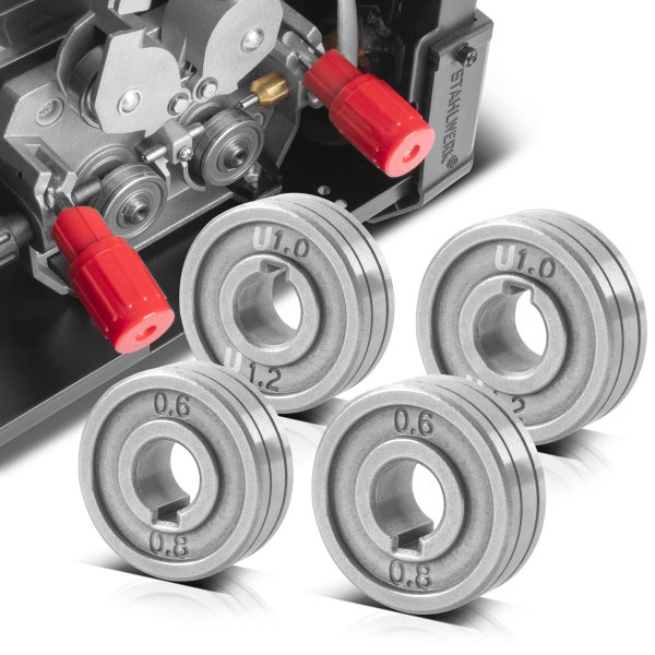 Nahaufnahme von Thai-Basilikum mit grünen Blättern und dunklen Blüten