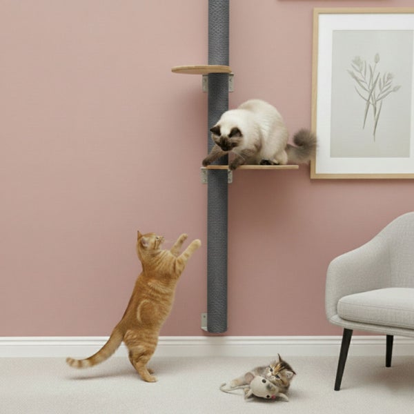 Wandkratzbaum mit Sisalsäule und zwei Kletterebenen in einem Wohnraum mit spielenden Katzen.