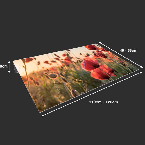 Lichtschachtabdeckung aus Acryl | Kellerschacht-Abdeckung | Schneeschutz | Regenschutz | Schutz gegen Schmutz, Schimmel, Laub und Schnee | Mohnblumen | Feld | Pflanzen | Dekorativ mit Motiv 120x45 cm