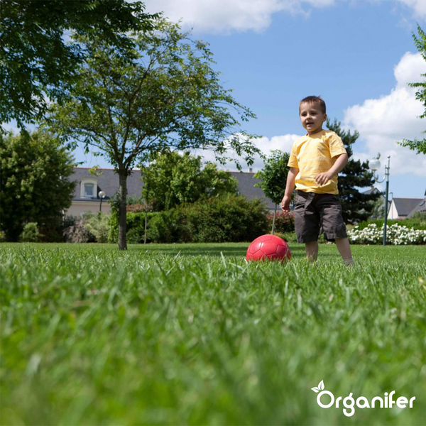 Ein Junge spielt mit einem roten Ball auf einer grünen Rasenfläche im Garten.