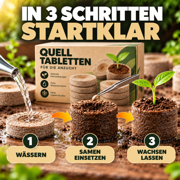 Anleitung in drei Schritten zur Anwendung von Quelltabletten für die Anzucht von Pflanzen mit Bewässerung, Samenplatzierung und Keimung.