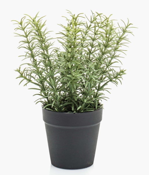 Künstliche Pflanze Rosmarin aus Kunststoff in Grün mit feinen Nadeln.