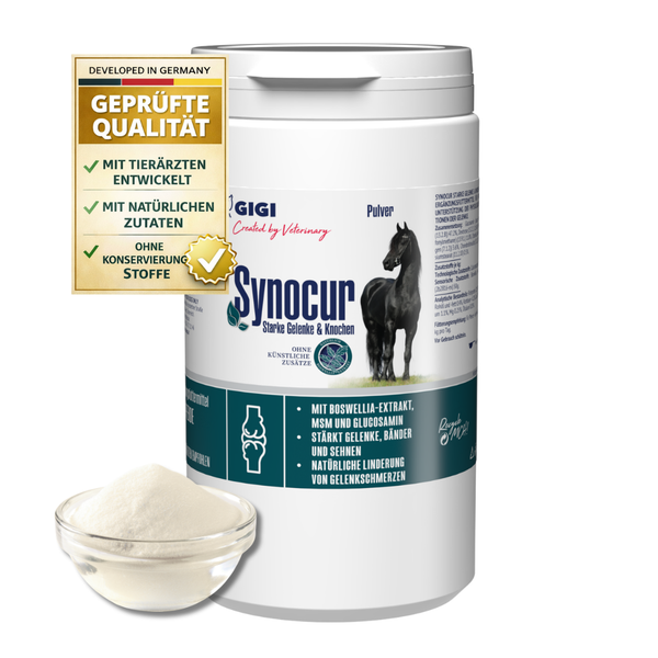 Gigi Logo, Synocur Pulver für Pferde für Gelenke, Knochen, Boswellia, Methylsulfonylmethan, Glucosamin, Dose, Schale mit Pulver, Siegel Qualität.