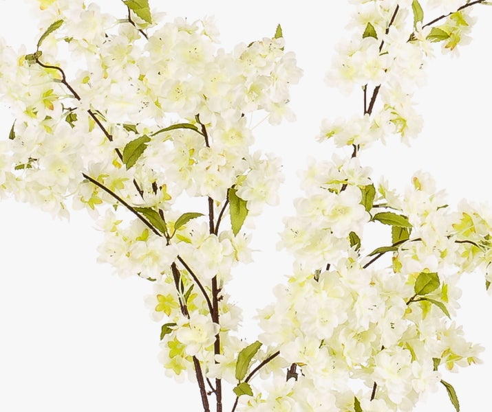 Schwarzer Blumentopf aus Kunststoff mit Stielen einer Kunstpflanze.