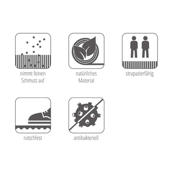 Piktogramme: Nimmt feinen Schmutz auf, natürliches Material, strapazierfähig, rutschfest, antibakteriell
