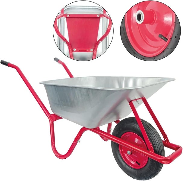 Detailansicht von Skelettblättern