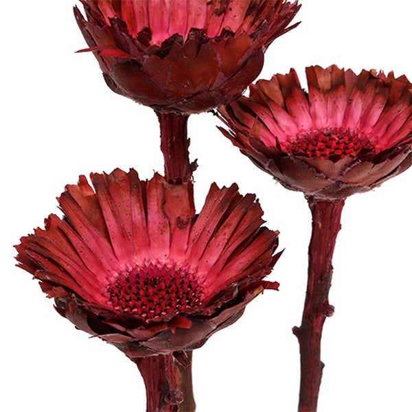 Dekorative Zierblüten für Innenräume