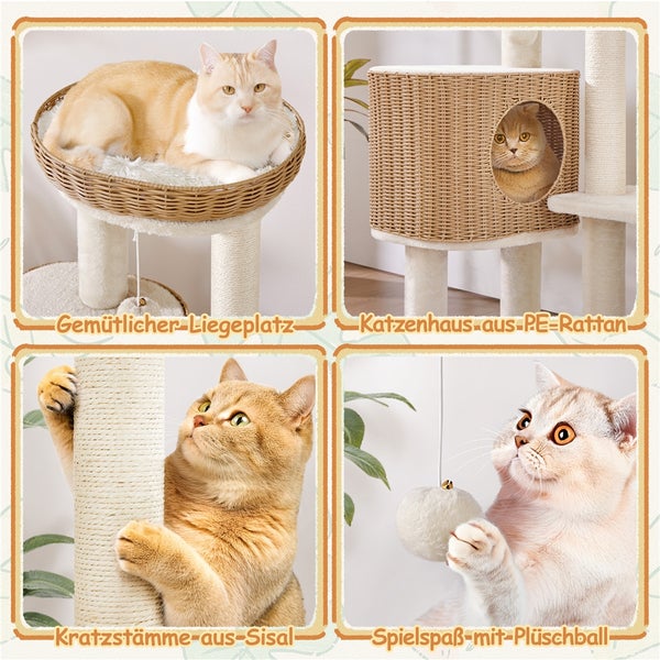 Collage eines Katzenkratzbaums mit Liegeplatz, Katzenhaus aus Polyethylen Rattan, Sisal Kratzstamm und Spielball
