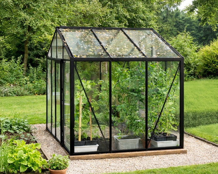 Modernes Gewächshaus mit schwarzem Metallrahmen und klaren Glasscheiben, gefüllt mit Topfpflanzen auf Kiesfundament im Garten.