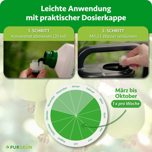 Anwendungshinweise und Dosierung für Pflanzendünger Konzentrat mit praktischer Dosierkappe und ganzjährigem Anwendungsplan.