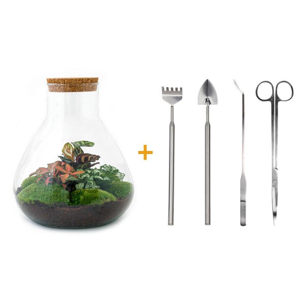 Flaschengarten Sam XL ROT DIY-Pflanzenterrarium 35 cm incl. Rechen, Schaufel, Pinzette und Schere
