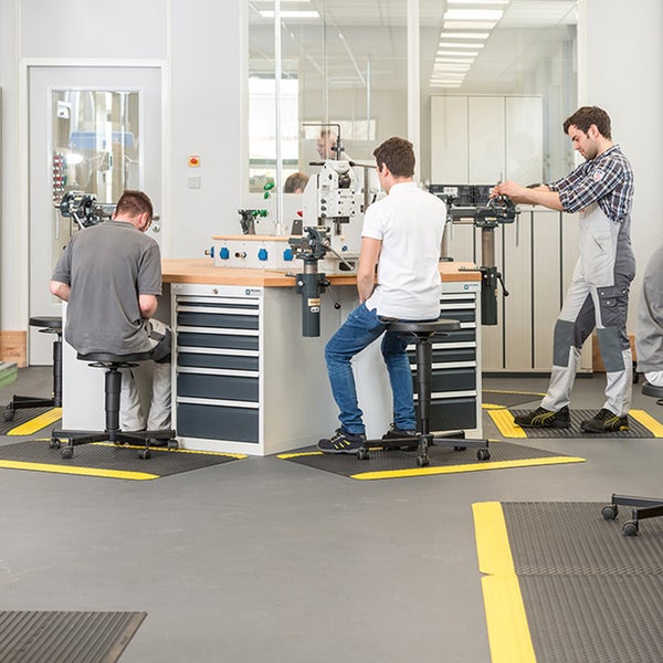 Mehrere Zwergkiefern in einem Gartenbeet mit einem Baumstumpf im Hintergrund.