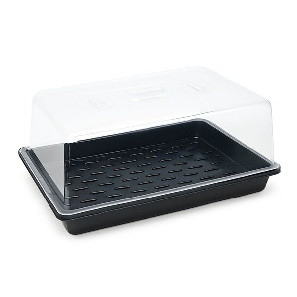 Zimmergewächshaus aus Kunststoff mit schwarzer Bodenwanne und transparenter Abdeckhaube für die Pflanzenanzucht.