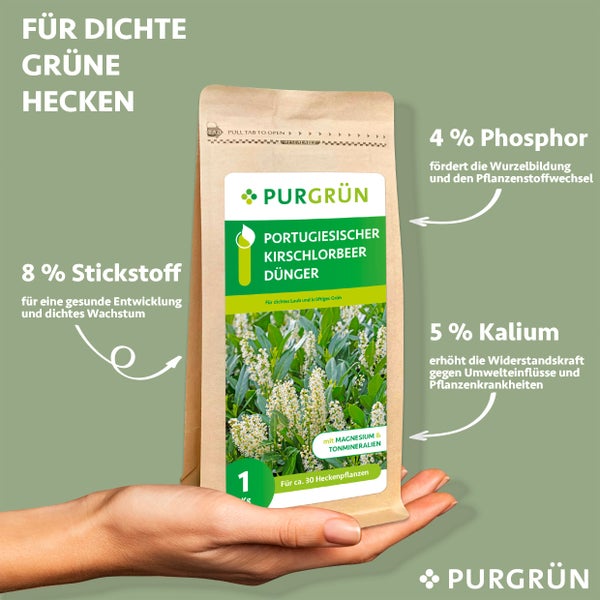 Purgrün Portugiesischer-Kirschlorbeer-Dünger 1 kg