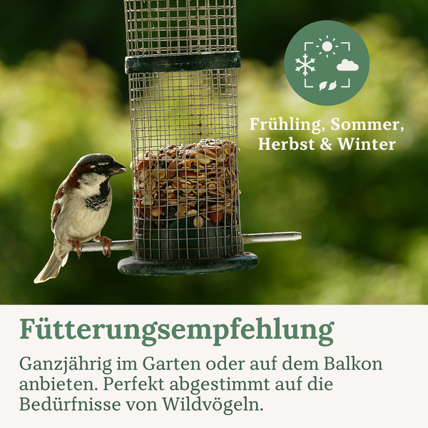 Ein Spatz trinkt aus einer Vogeltränke mit einem Hinweis auf die Wichtigkeit von sauberem Wasser für Wildvögel im Sommer und Winter.