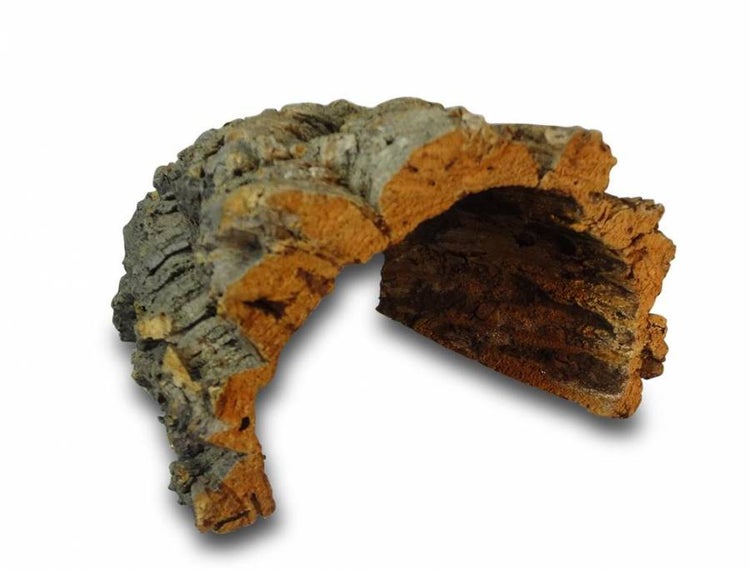 Korkrinde als Versteck für Terrarien, halbschalenförmig mit strukturierter Oberfläche aus Naturkork.