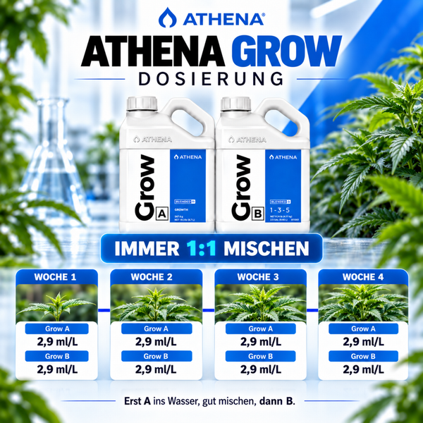 Athena Grow A und B Dünger Dosierungstabelle für die Wachstumsphase für eine Anwendung von eins zu eins Mischung in vier Wochen.