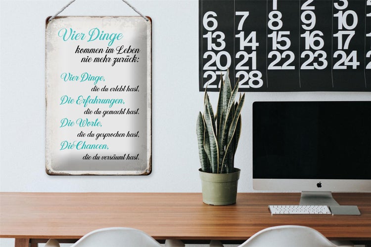 Blechschild Spruch 20x30cm 4 Dinge kommen nie mehr zurück