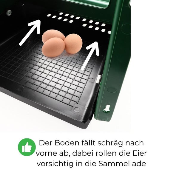 Legenester für Hühner Hühnerstall Zubehör Hühnernest Legenest Abrollnest mit Eierbox Geflügel Kunststoff Wandmontage