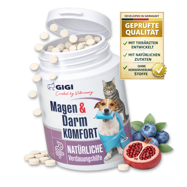GIGI Magen und Darm Komfort Tabletten für Hunde und Katzen, Dose mit Blaubeeren und Granatapfel, natürliche Verdauungshilfe.