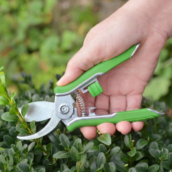 Gartenschere aus Edelstahl im Einsatz beim Beschneiden einer Pflanze