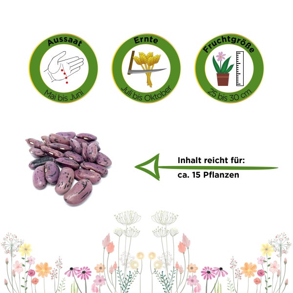 Prunkbohne Feuerbohne Preisgewinner Samen von Deine Gartenwelt