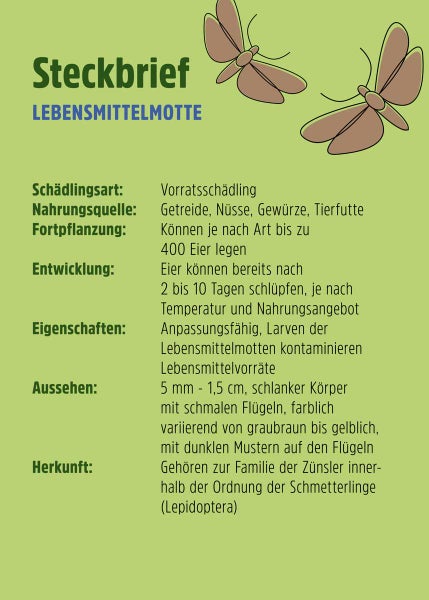 Lebensmittelmotte Pheromonfalle