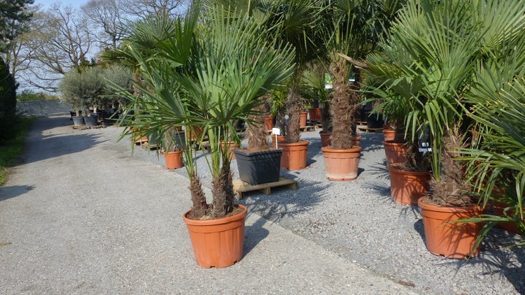 Moderner Gartenpavillon mit weißem Sonnensegel und dunklem Metallgestell, Sitzbereich mit beigen Sitzsäcken und Holztischen auf grünem Kunstrasen.