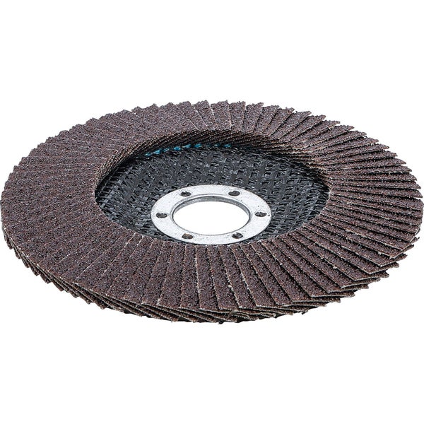 BGS Technic Fächerschleifscheibe, Korngröße 80, Durchmesser 125 mm