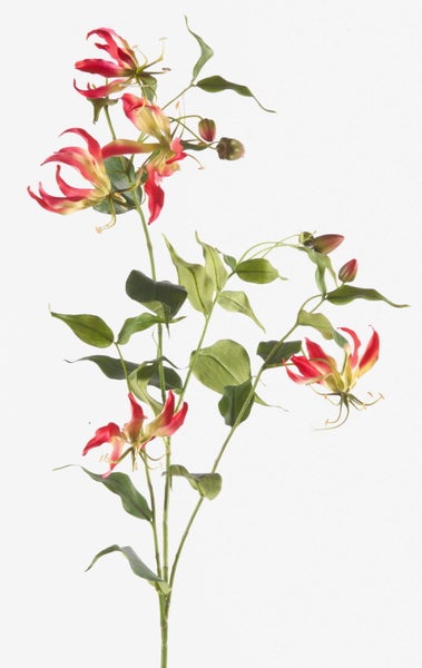 Runder goldfarbener Übertopf mit einer grünen Pflanze.