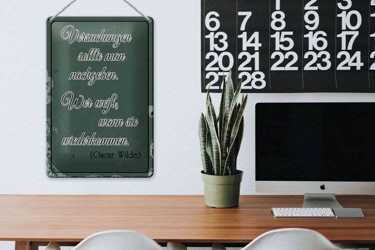 Blechschild Spruch 20x30cm Versuchungen soll man nachgeben