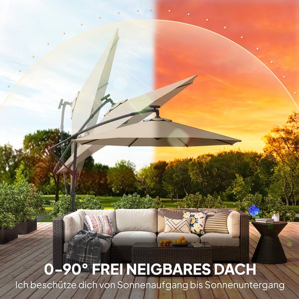 Abbildung einer Topfpflanze mit den Maßen 20 cm Höhe und 9 cm Breite sowie dem Planet Proof Siegel.