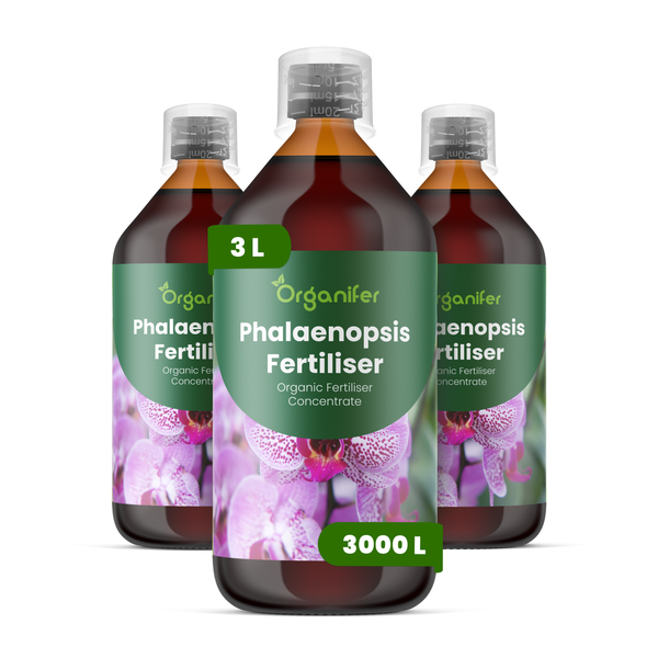 Drei Flaschen Organifer Phalaenopsis Orchideendünger Konzentrat, organischer Dünger, 3 Liter für circa 3000 Liter Gießwasser.